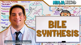 Gastrointestinal  Bile Synthesis [upl. by Mortensen]