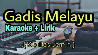 GADIS MELAYU KARAOKE  LAGU BATAK POPULER [upl. by Hurd58]