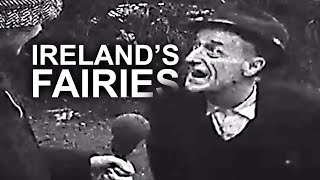 Irish People TERRIFIED of Fairies  Televised Éireann [upl. by Ricker]