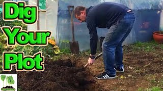 How To Dig Your Allotment [upl. by Hathcock663]