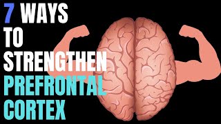 7 Ways You Can Strengthen Prefrontal Cortex [upl. by Atiuqaj]