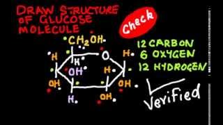 Learn to draw the structure of Glucose Molecule [upl. by Drawyah]