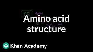 Amino acid structure  Chemical processes  MCAT  Khan Academy [upl. by Eerej130]