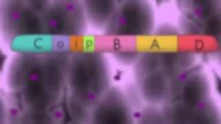 The Arabinose Operon [upl. by Alejandro67]