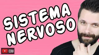 SISTEMA NERVOSO  FISIOLOGIA  Aula  Biologia com Samuel Cunha [upl. by Batholomew]