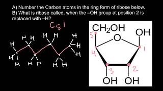 How to number carbon atoms [upl. by Yim924]