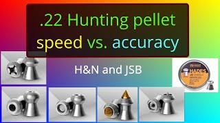 22 Hunting pellet optimal speed High Power [upl. by Leahcir]