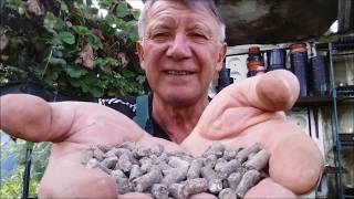 Allotment Secret 6X Pelleted amp Concentrated Chicken Manure [upl. by Mayhew877]