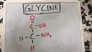 Glycine Structure  Amino Acid Basics [upl. by Hadden]