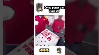 Como pegar um curioso memes viralvideo [upl. by Notnirb347]