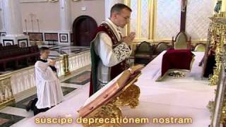 FSSP Video on Traditional Latin Mass Part 13 [upl. by Avigdor266]