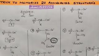 Trick to draw amp memorize 20 Amino acid structures from Biomolecules class 12 chemistry by Komali mam [upl. by Dorwin]