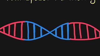 Introduction to Transposons [upl. by Porty]