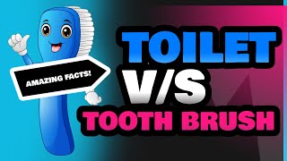 Toilet and Tooth Brush [upl. by Lynelle]