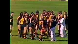 1985 SANFL Grand Final  Glenelg vs North Adelaide [upl. by Thorny]