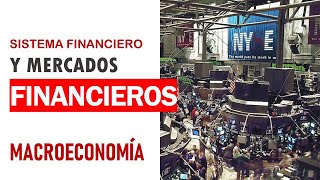 Sistema financiero concepto y participantes de mercados financieros [upl. by Nirac54]