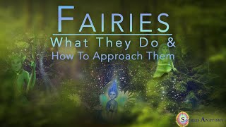 3  Fairies What they do and how to approach them [upl. by Ahseuqram]