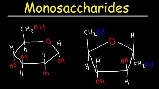 Monosaccharides  Glucose Fructose Galactose amp Ribose  Carbohydrates [upl. by Marcell236]