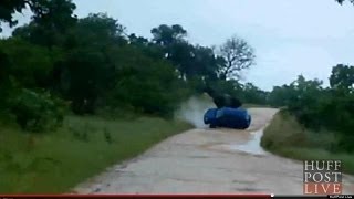 Raging Elephant Flips Over Car In National Park [upl. by Ahcrop]