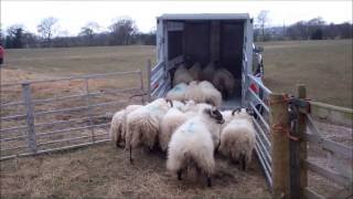 Farmers Guardian Houghton Parkhouse T35 livestock transporter [upl. by Vince762]