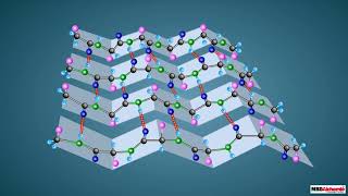 Proteins and their Structure [upl. by Onihc526]