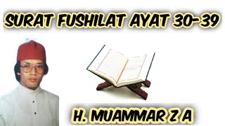 Surat Fushilat ayat 3039  H Muammar ZA [upl. by Elinad]