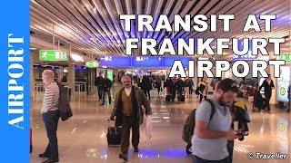 TRANSIT WALK AT FRANKFURT Airport FRA Terminal 1  Connection Flight Transfer Arriving amp Departing [upl. by Shepard]