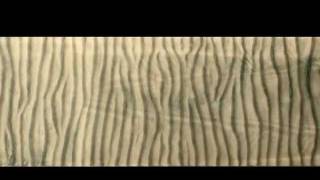 Dynamics of Wave Ripples [upl. by Lesiram]