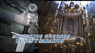 MISTERIOS GOZOSOS POR LAS ALMAS DEL PURGATORIO Y POR TI [upl. by Beata]